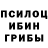 Псилоцибиновые грибы Cubensis Anatolii Petrovskyi