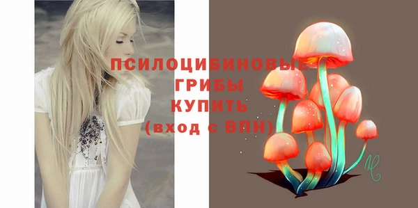 тгк Алзамай